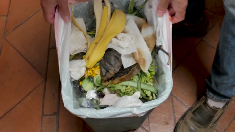 Best Garage Cleanout  in Moss Bluff, LA
